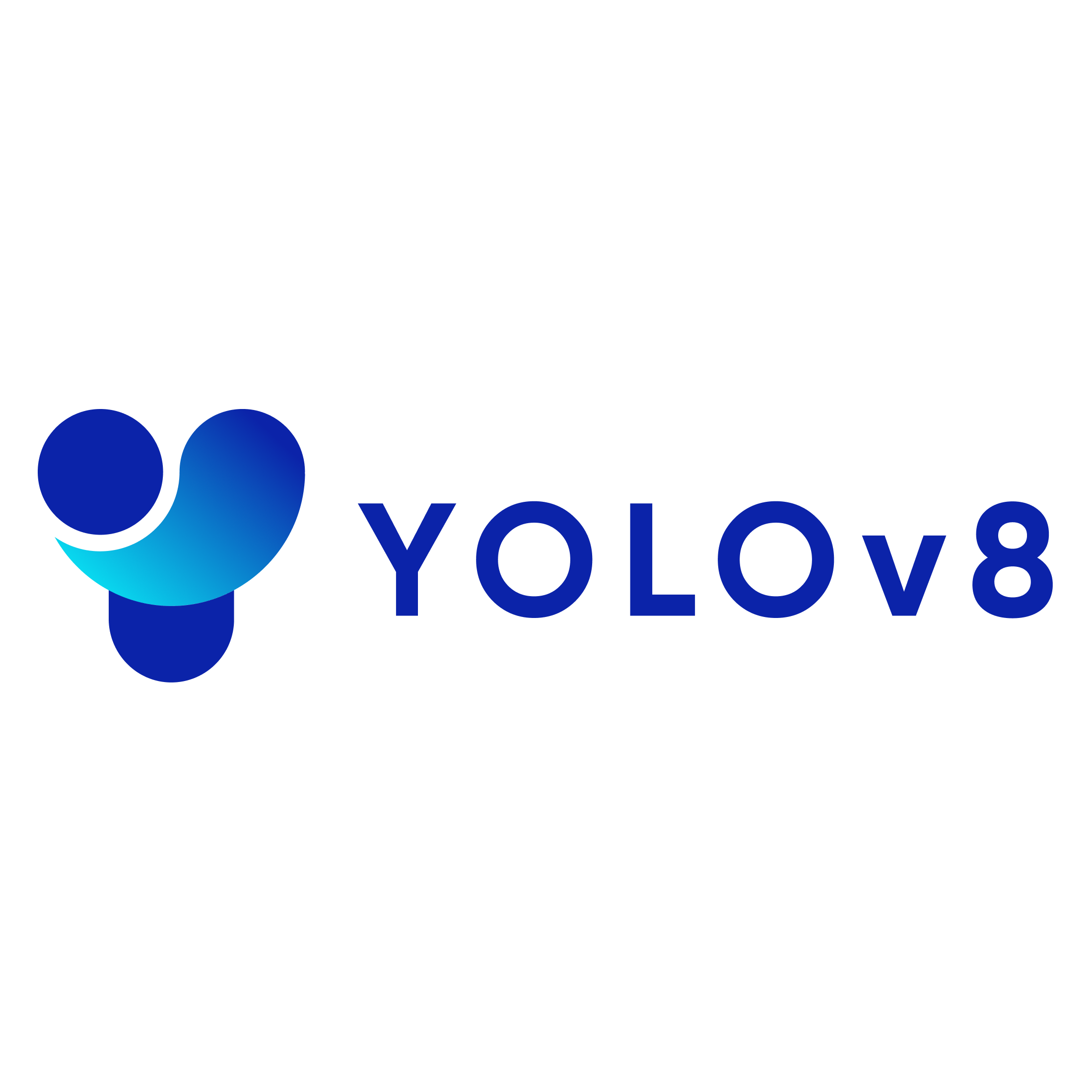 YOLO